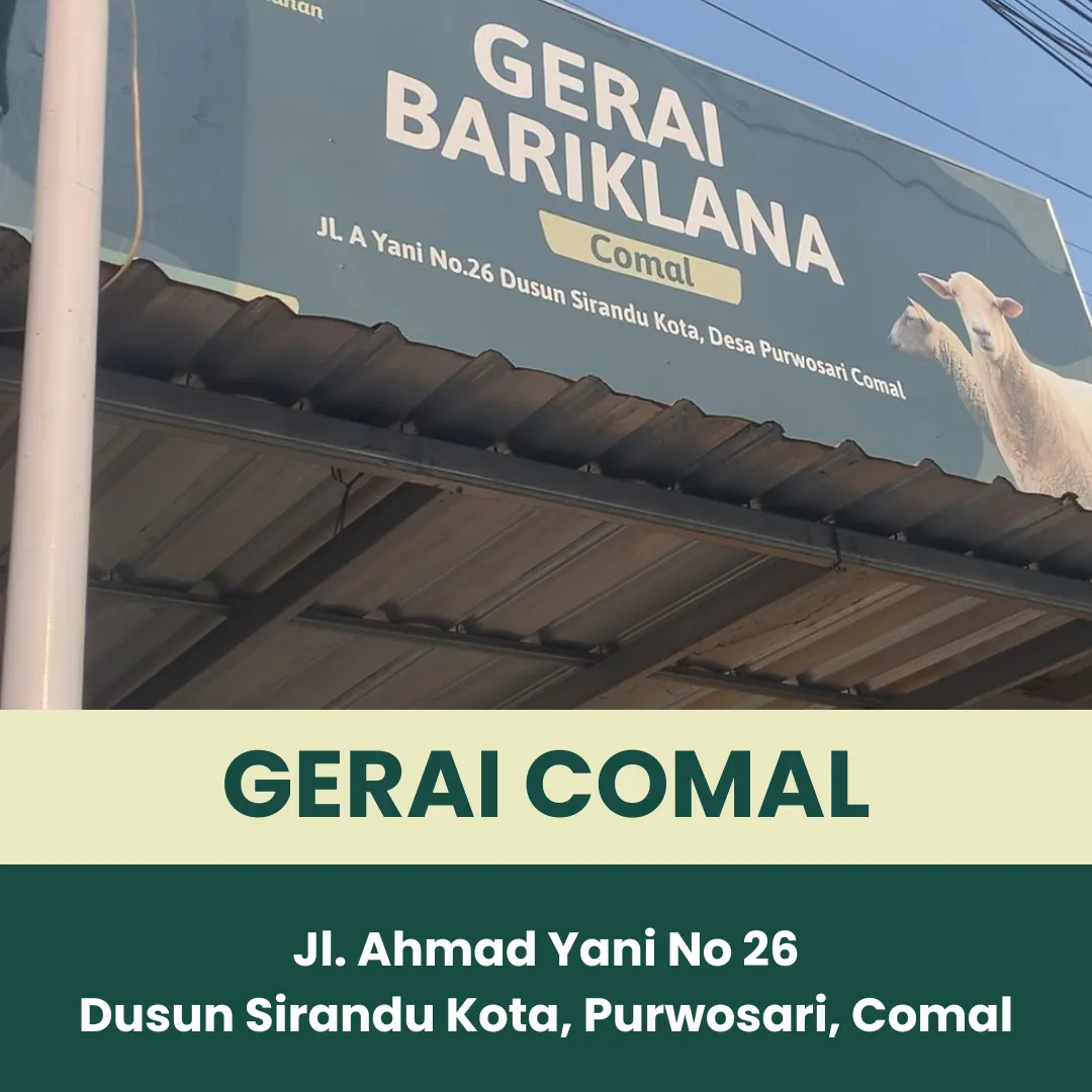 Gerai cml